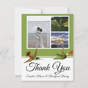 Carte De Remerciements Elégant Mariage de colibri collage photo
