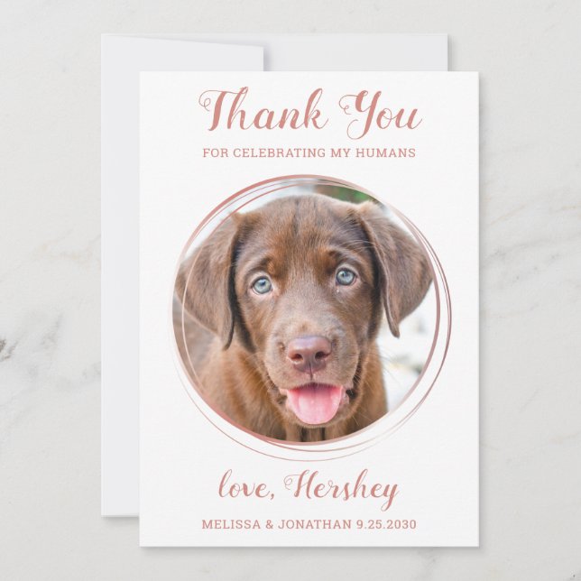 Carte De Remerciements Elégant Rose Gold Custom Pet Photo Dog Mariage (Devant)