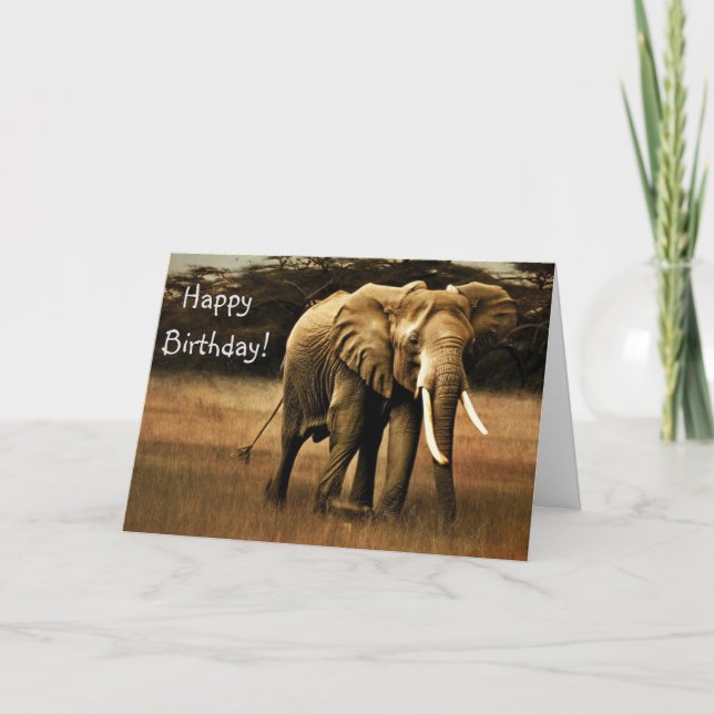 Carte De Remerciements Elephant Joyeux Anniversaire ! (Devant)