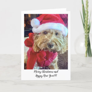 Carte De Remerciements Ella Bella Banana Père Noël