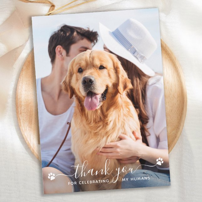 Carte De Remerciements Empreintes de pattes Personnalisé Animaux de compa (Créateur téléchargé)
