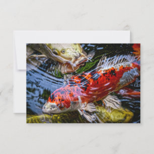 Carte De Remerciements Étang japonais de poissons Koi