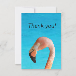 Carte De Remerciements Face flamingo rose contre eau bleue sur