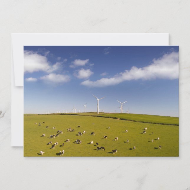 Carte De Remerciements Farms | Cows Near Windmill Farm (Devant)