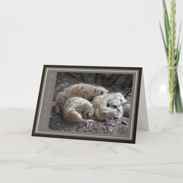 Carte De Remerciements Faune de Meerkat (Devant)