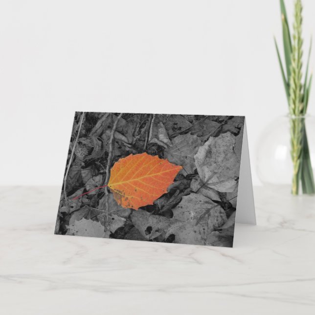 Carte De Remerciements Feuille d'automne (Devant)