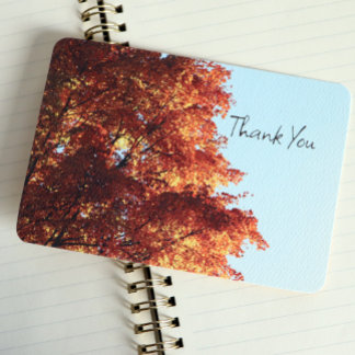 Carte De Remerciements Feuilles de l'érable d'automne