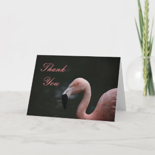 Carte De Remerciements Flamant rose rose