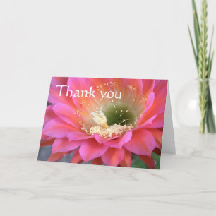 Carte De Remerciements Fleur de cactus rose dans le désert, merci.