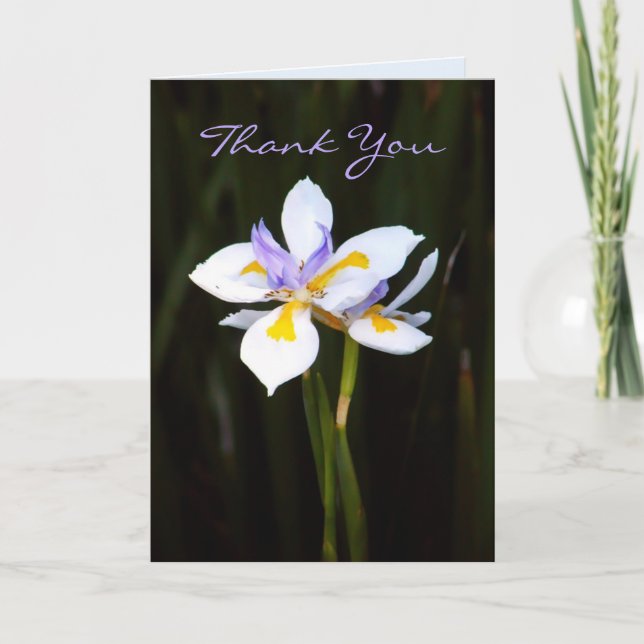 Carte De Remerciements Fleur : Dietes (Devant)