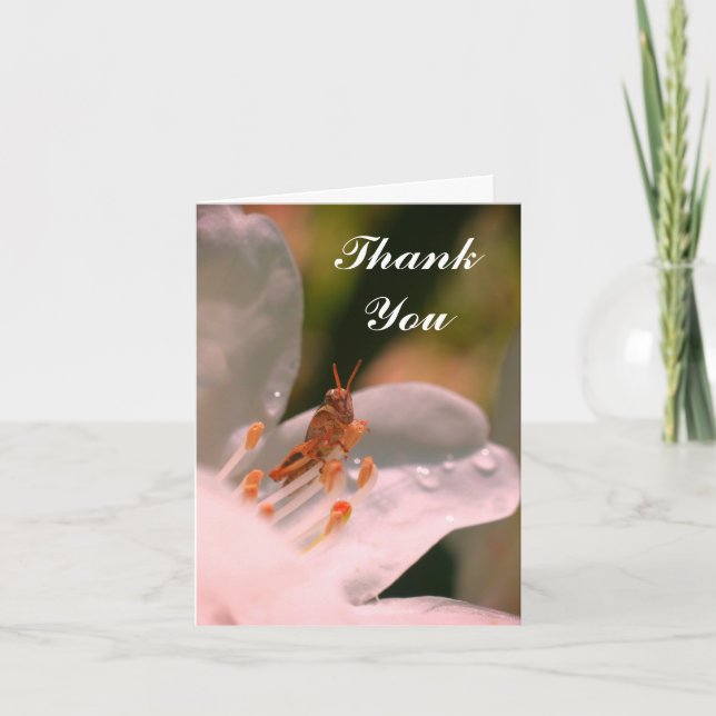 Carte de remerciements Fleur Et Grasshopper Azalea (Devant)
