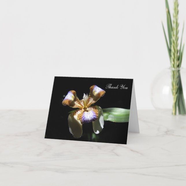 Carte de remerciements - Fleur Iris sur Arrière -  (Devant)