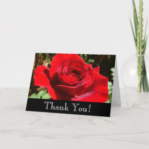 Carte De Remerciements Fleur rose rouge vif Belle florale