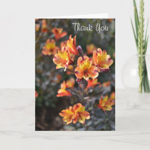 Carte De Remerciements Fleurs de Lys péruviennes à RHS Garden Wisley