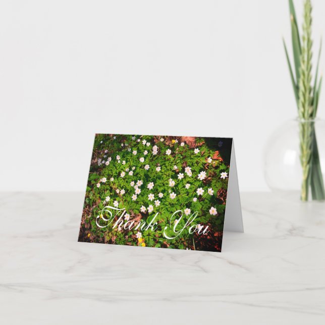 Carte De Remerciements Fleurs de printemps d'anémones en bois blanc (Devant)