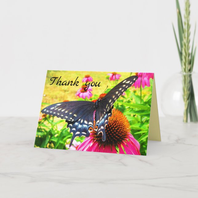 Carte De Remerciements Fleurs d'échinacées roses à papillon noir (Devant)