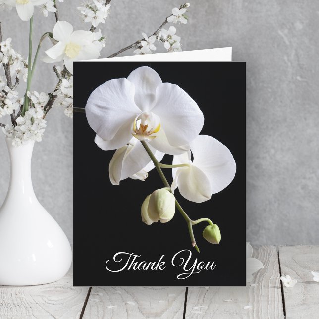 Carte De Remerciements Fleurs d'orchidées sur la Sympathie noire (Créateur téléchargé)