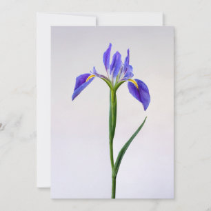 Carte De Remerciements Fleurs   Fleur Iris Violet