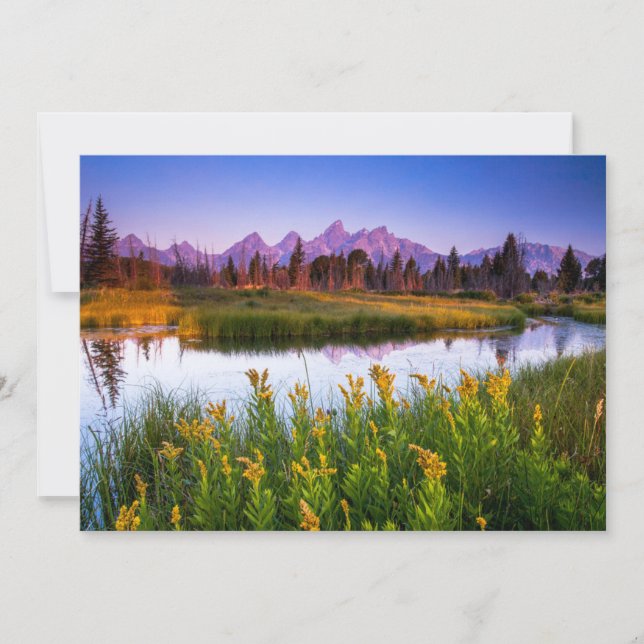 Carte De Remerciements Fleurs | Grand Teton National Park, Wyoming (Devant)