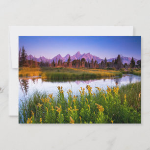 Carte De Remerciements Fleurs   Grand Teton National Park, Wyoming