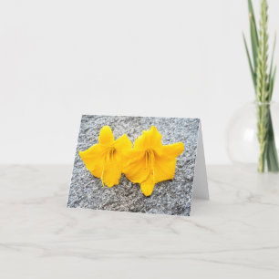 Carte De Remerciements fleurs jaunes de jour en pleine floraison
