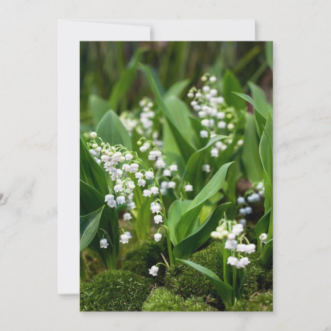Carte De Remerciements Fleurs | Lily de la vallée Suède (Devant)