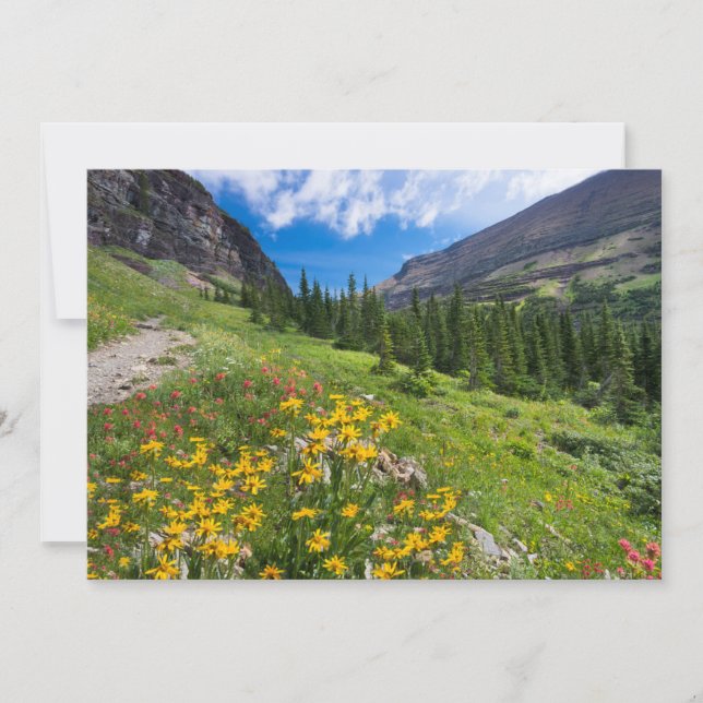 Carte De Remerciements Fleurs | Montana Flower Path (Devant)