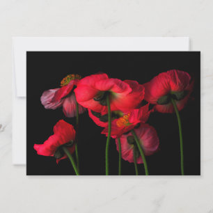 Carte De Remerciements Fleurs Poppies rouges