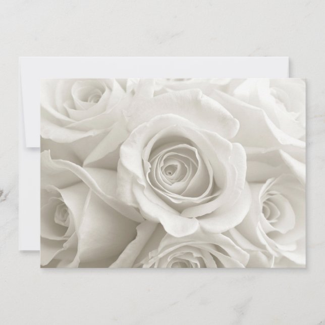 Carte De Remerciements Fleurs | Roses blanches (Devant)