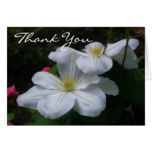 Carte de remerciements floral Clematis blanc doux