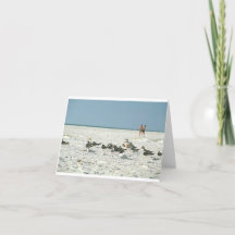 Florida Beach avec mouettes art photographie