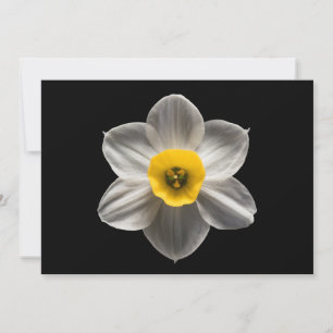 Carte De Remerciements Flowers (homonymie) Flower blanc