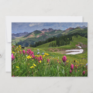 Carte De Remerciements Flowers (homonymie)   Wildflowers Durango