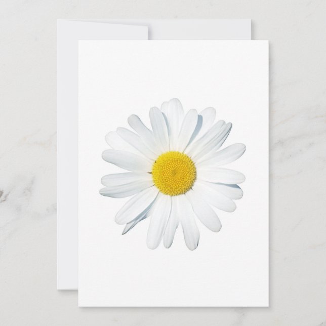Carte De Remerciements Flowers | Single Daisy (Devant)