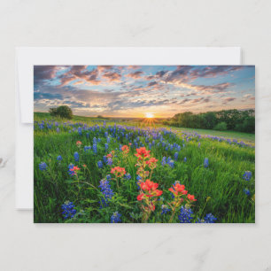 Carte De Remerciements Flowers   Texas Bluebonnets & Indian Paintbrush
