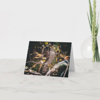 Carte De Remerciements Folded Thank You Card