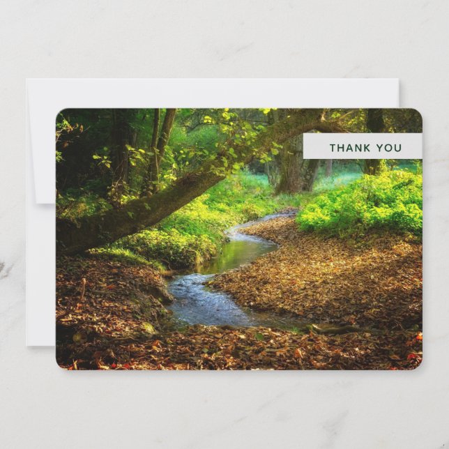 Carte De Remerciements Forest Creek Belle nature Paysage Photo (Devant)