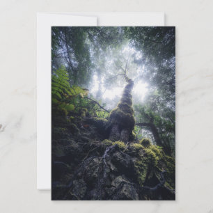 Carte De Remerciements Forêt Anaga Parc rural Îles Canaries