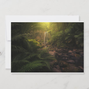 Carte De Remerciements Forêt Cascade Sunlight Highlights