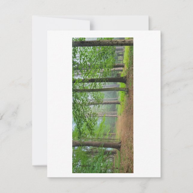 Carte De Remerciements Forêt ouverte (Devant)