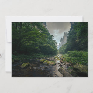 Carte De Remerciements Forêt   Parc forestier national de Zhangjiajie