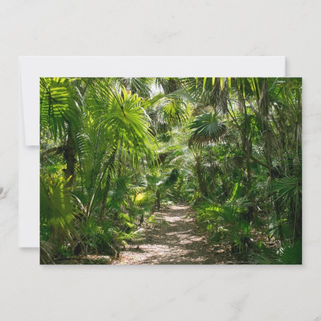 Carte De Remerciements Forêt | Tropical Rainforest Tulum Mexique (Devant)
