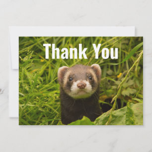 Carte De Remerciements Fouret brun mignon dans l'herbe