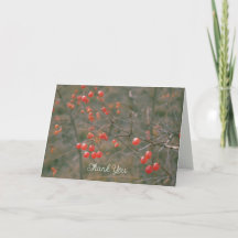 Fresh Red Berries Winter Nature Photography