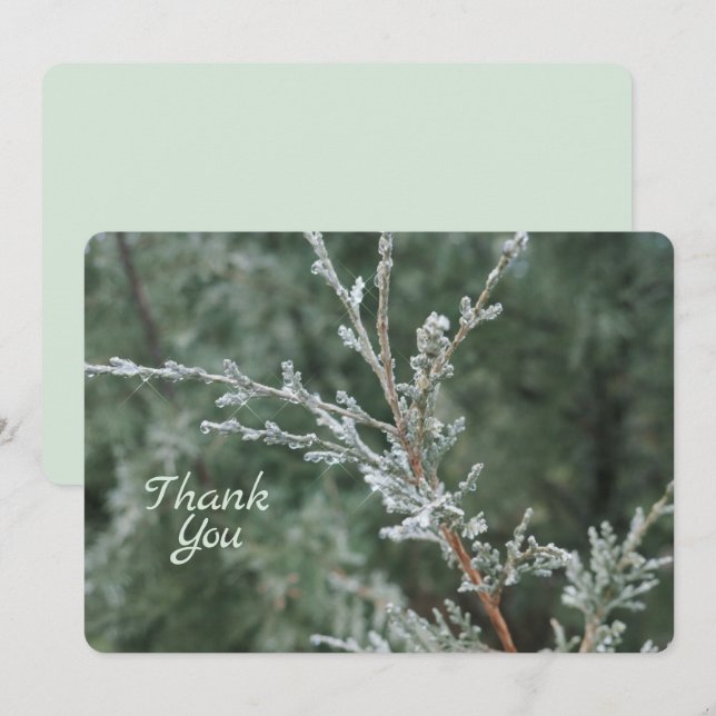 Carte De Remerciements Frosty À feuillage persistant Noël Nature Photo (Devant / Derrière)