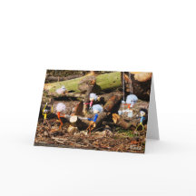 Fubby a travaillé dans leur scierie.