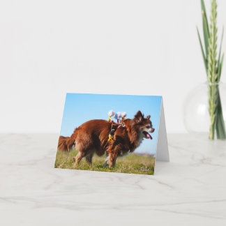 Carte De Remerciements Fubby's die paardrijden op hun honden vriendje.