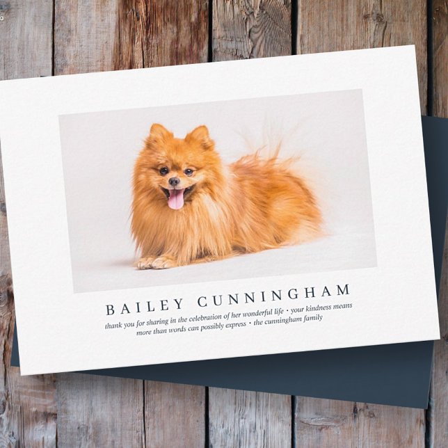 Carte De Remerciements Funérailles commémoratives pour animal de compagni (Créateur téléchargé)