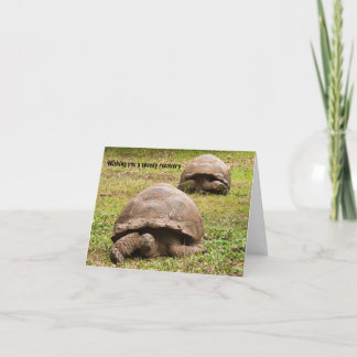 Carte De Remerciements Funny Tortoise Get Well Card