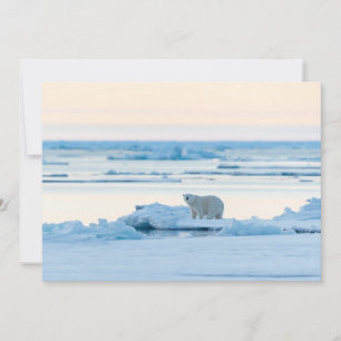 Carte De Remerciements Glace et neige   Ours polaire Iceberg Norvège